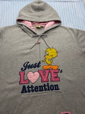 Warner Bros. Gray Hoodie with Pink Satin Lining